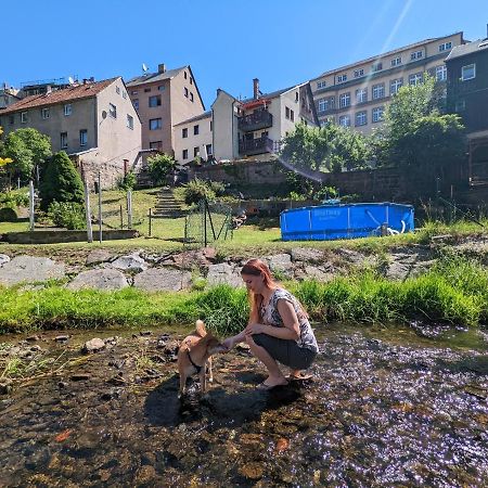 Appartement Urlaubstraum Mit Pool, Terrasse & Fluss Im Garten - Ut à Sebnitz Extérieur photo