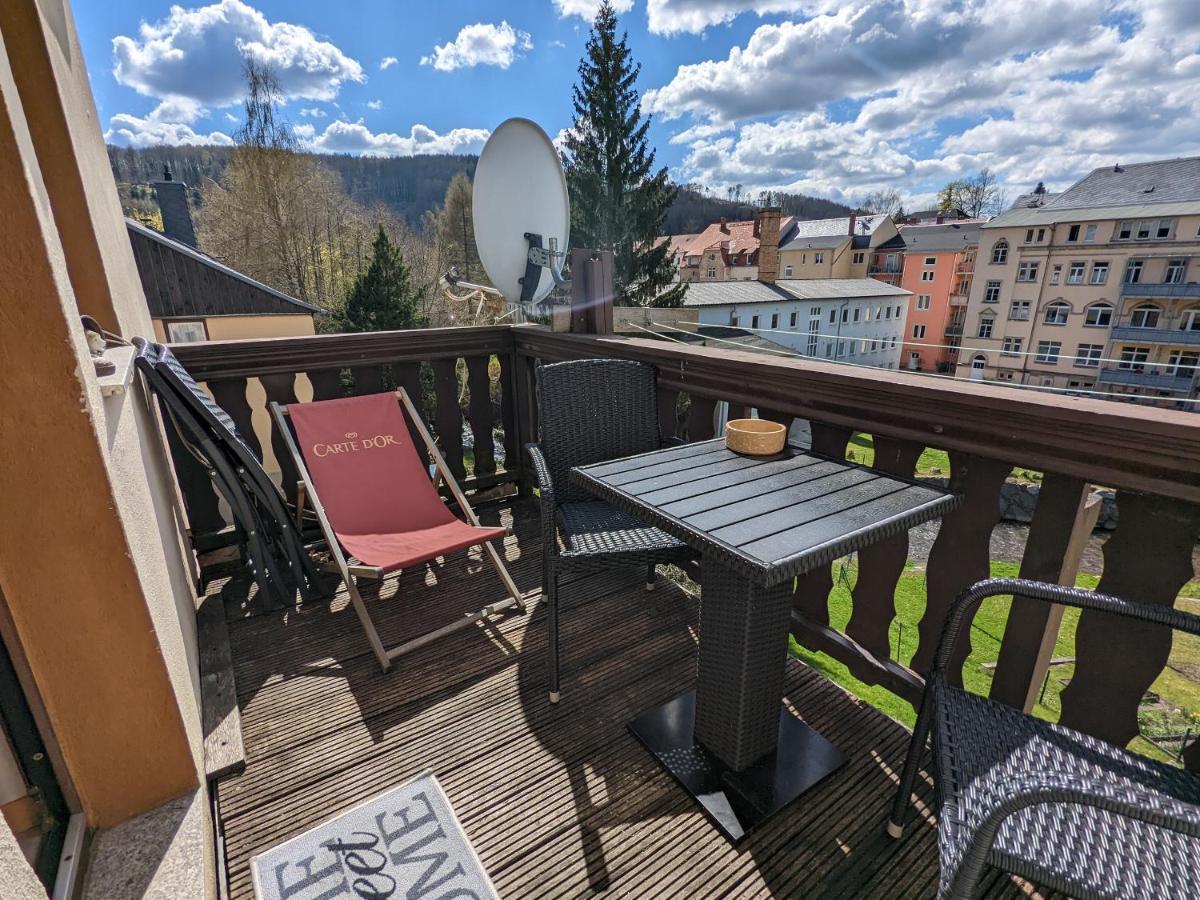 Appartement Urlaubstraum Mit Pool, Terrasse & Fluss Im Garten - Ut à Sebnitz Extérieur photo