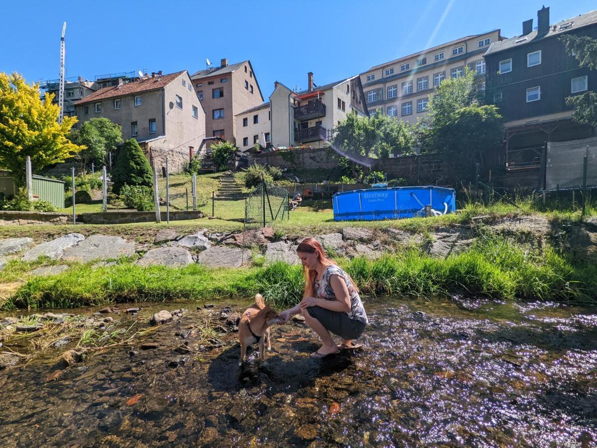 Appartement Urlaubstraum Mit Pool, Terrasse & Fluss Im Garten - Ut à Sebnitz Extérieur photo