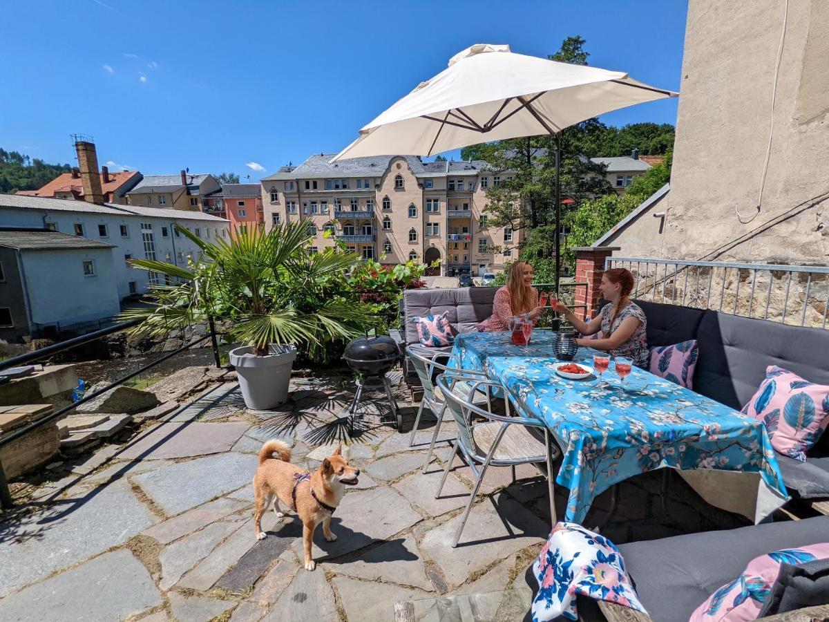 Appartement Urlaubstraum Mit Pool, Terrasse & Fluss Im Garten - Ut à Sebnitz Extérieur photo