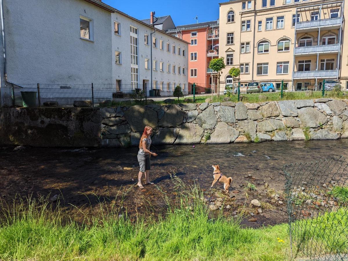 Appartement Urlaubstraum Mit Pool, Terrasse & Fluss Im Garten - Ut à Sebnitz Extérieur photo