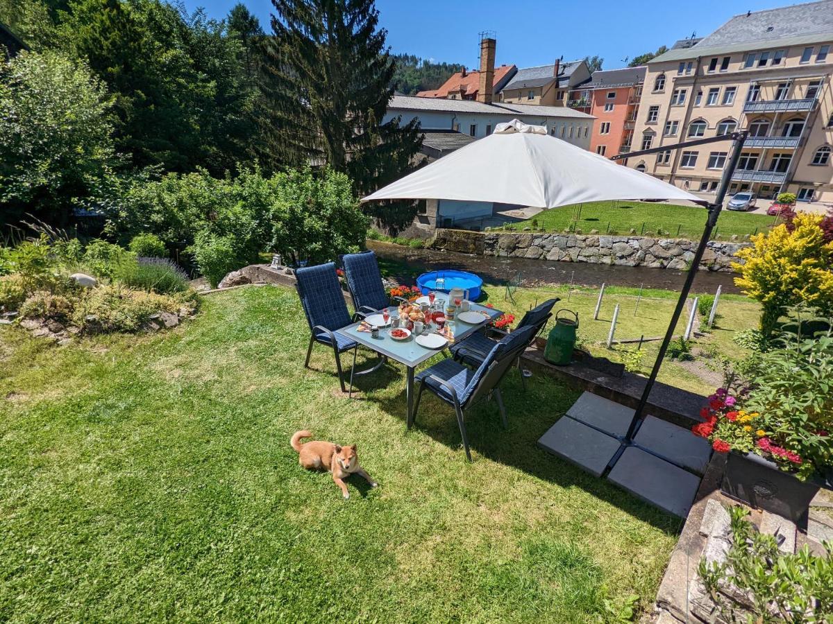Appartement Urlaubstraum Mit Pool, Terrasse & Fluss Im Garten - Ut à Sebnitz Extérieur photo