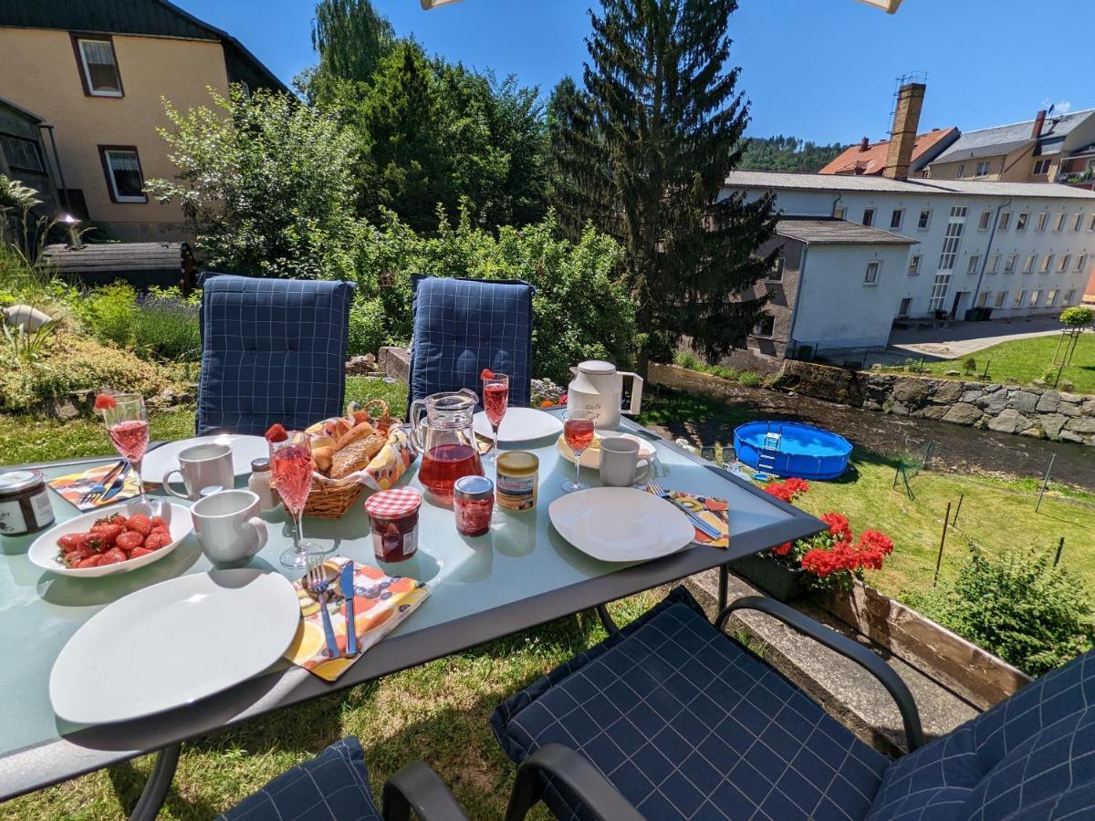 Appartement Urlaubstraum Mit Pool, Terrasse & Fluss Im Garten - Ut à Sebnitz Extérieur photo