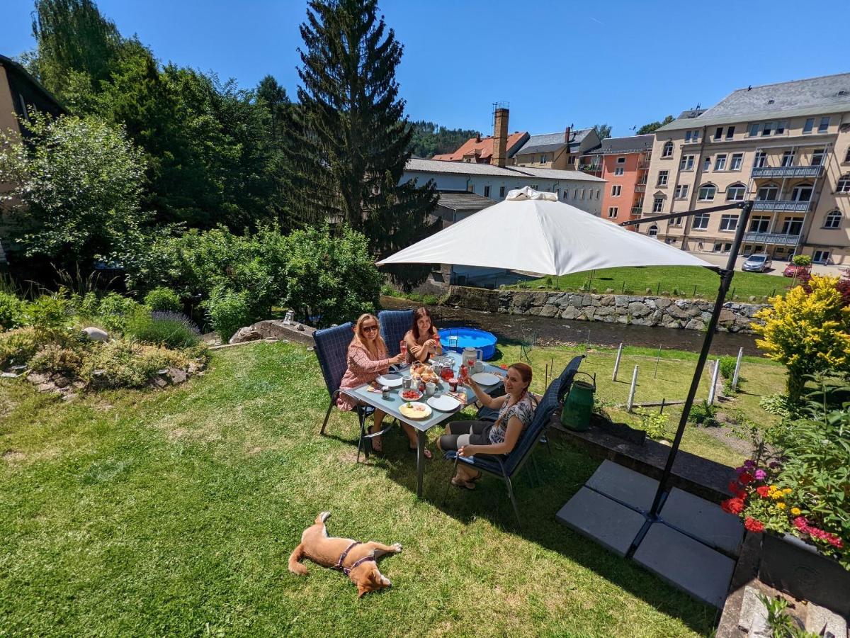 Appartement Urlaubstraum Mit Pool, Terrasse & Fluss Im Garten - Ut à Sebnitz Extérieur photo